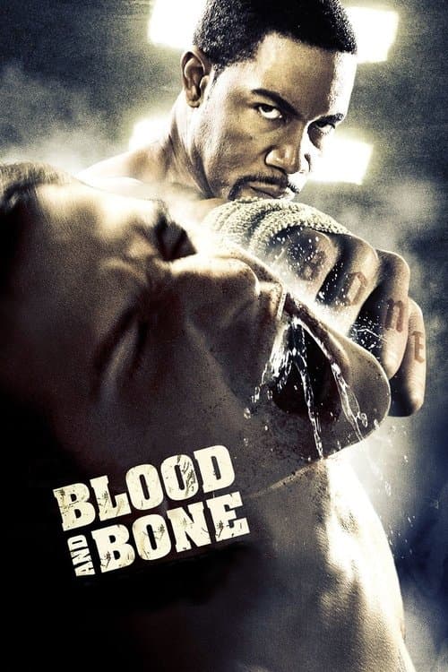 Watch Blood and Bone - Luganda Translated Movie by Vj Junior